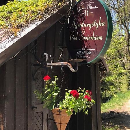 Agroturystyka Pod Swierkiem Srebrna Góra Exterior foto